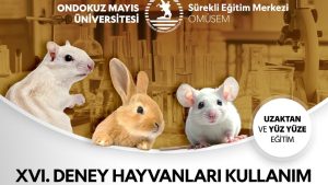 XVI. DENEY HAYVANLARI KULLANIM SERTİFİKASI EĞİTİM PROGRAMI